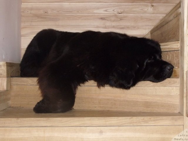 Фотография № 54936