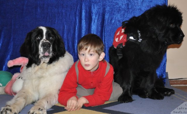 Фотография № 54948