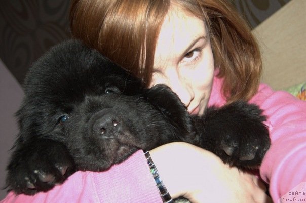 Фотография № 54956