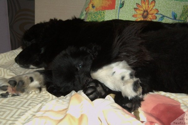 Фотография № 54958