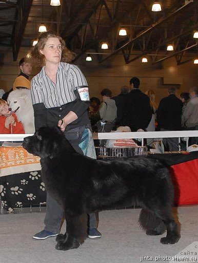 Фотография № 54963