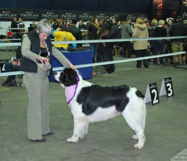 Фотография № 55081