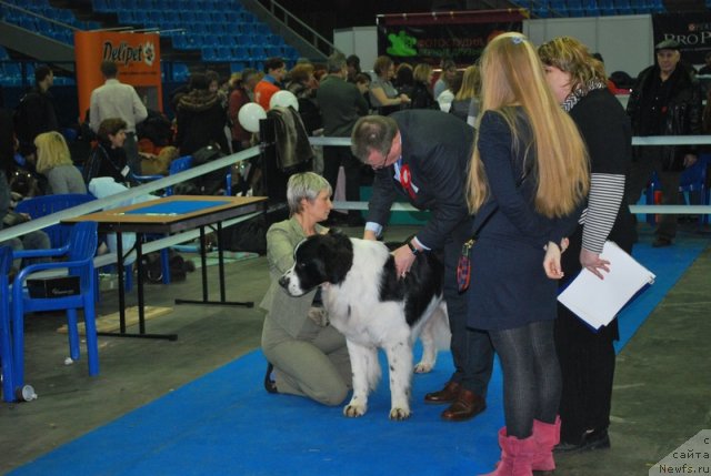 Фотография № 55083