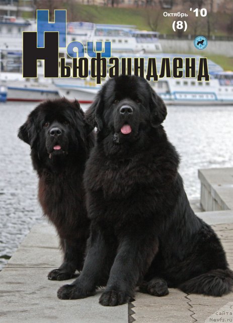 Фотография № 55136