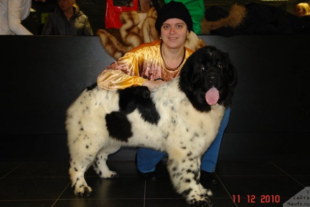 Фотография № 55200