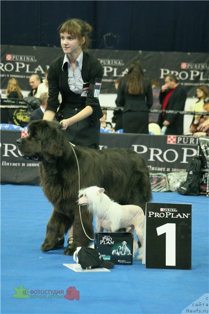 Фотография № 55202