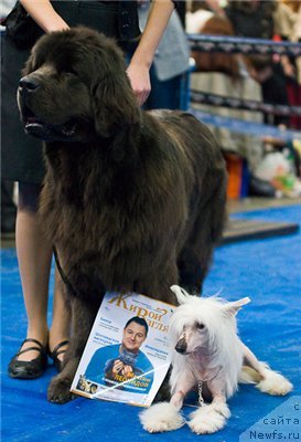 Фотография № 55203