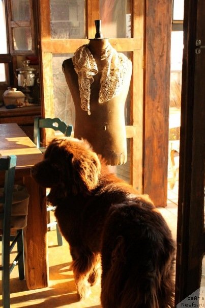 Фотография № 55233