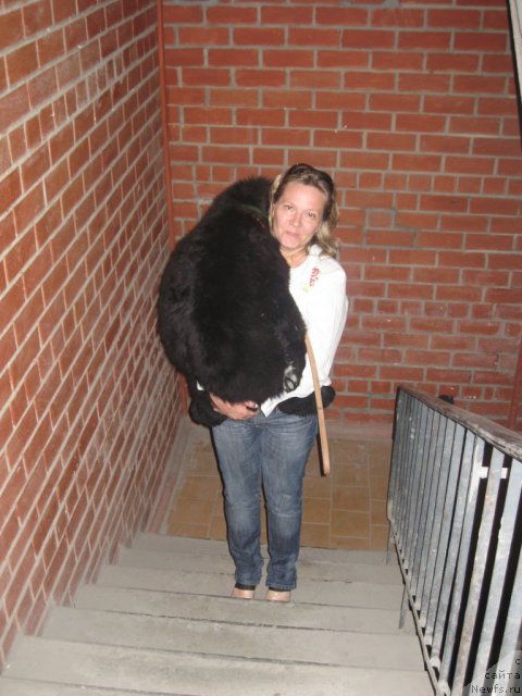 Фотография № 55284