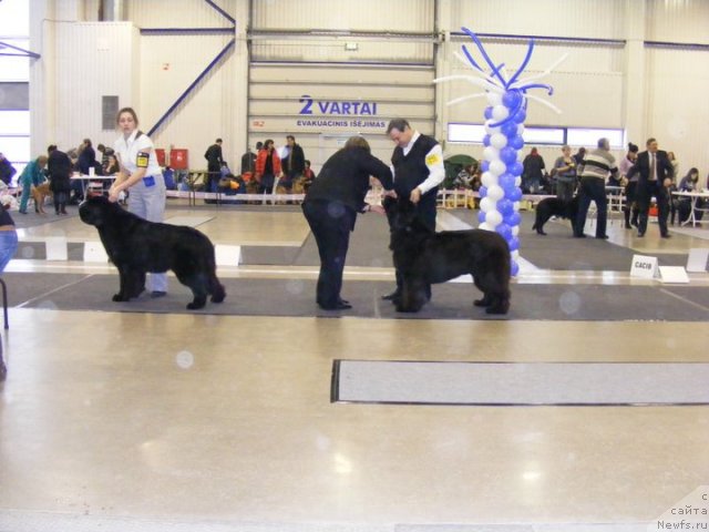 Фотография № 55299