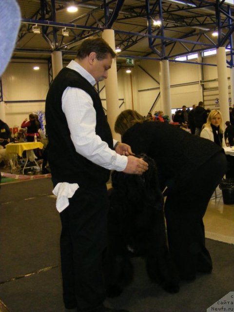 Фотография № 55300