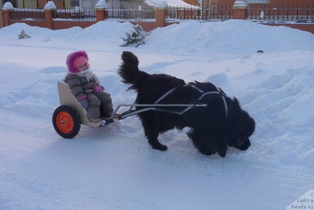 Фото: Рафаэлла Бриллианс Черная Жемчужинаи Лизочка