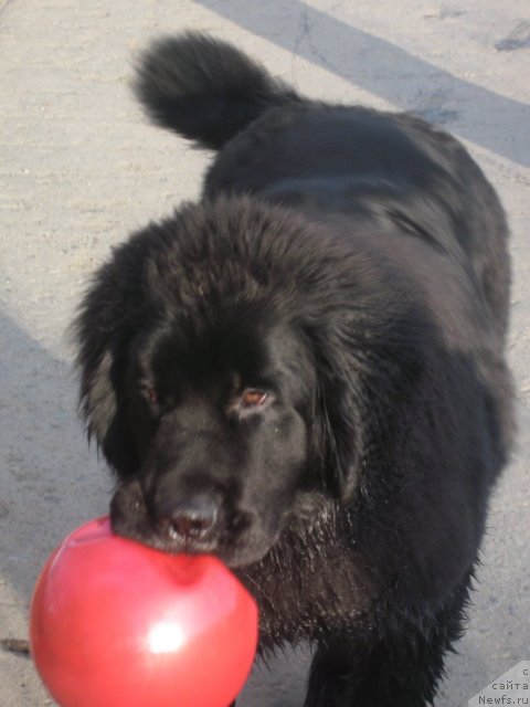 Фотография № 55306