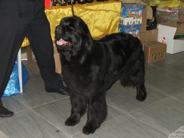 Фотография № 55332