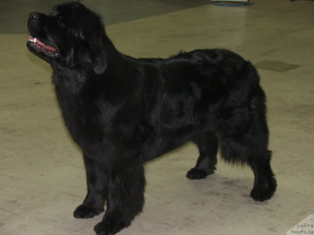 Фотография № 55338