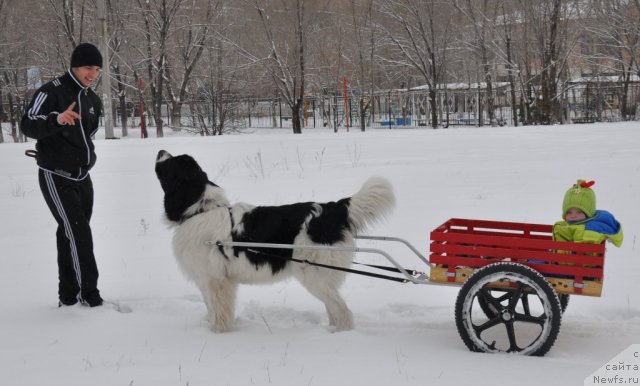 Фотография № 55356