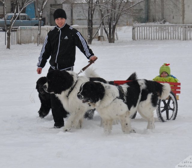 Фотография № 55357