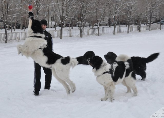 Фотография № 55361