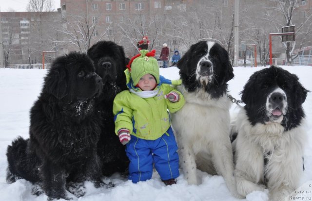 Фотография № 55362