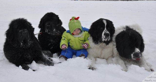 Фотография № 55363