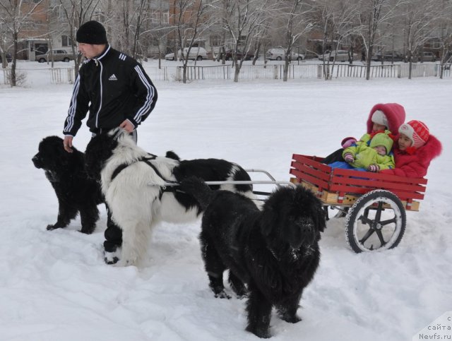 Фотография № 55364