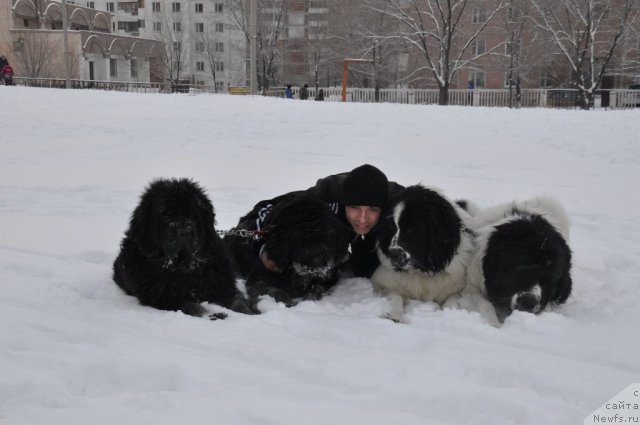 Фотография № 55365