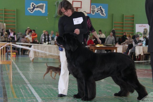 Фотография № 55375