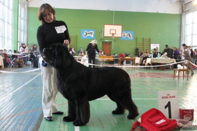 Фотография № 55377