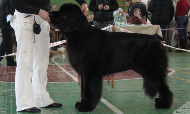 Фотография № 55381