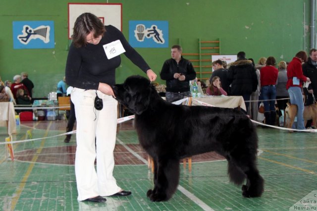 Фотография № 55382