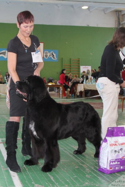 Фотография № 55384