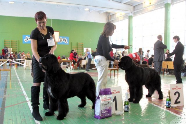 Фотография № 55385