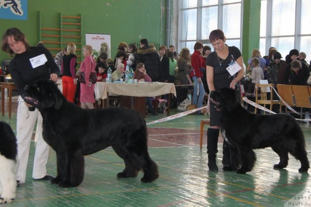 Фотография № 55386