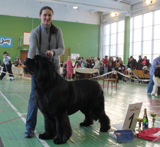 Фотография № 55388