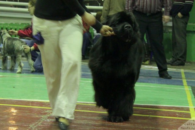 Фотография № 55389