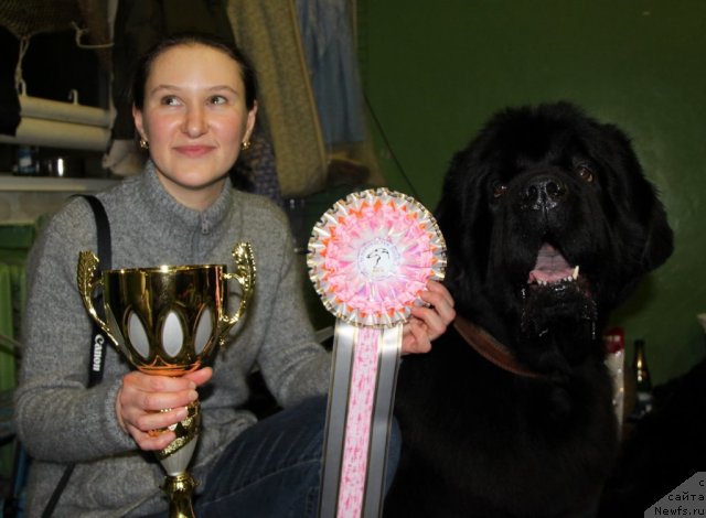 Фотография № 55394