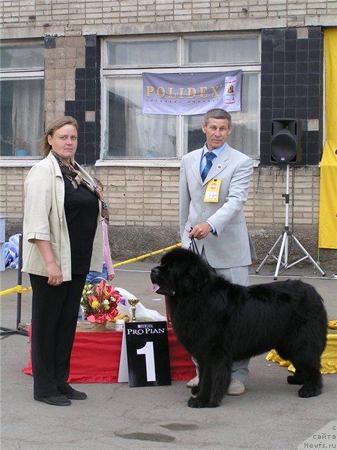 Фото: ньюфаундленд Его Высочество от Сибирского Медведя (Ego Vysochestvo ot Sibirskogo Medvedja), Юрий Рахтиенко