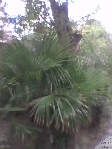 Фото: Диана Ларина