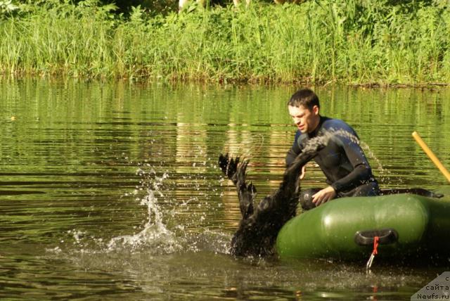 Фотография № 5545