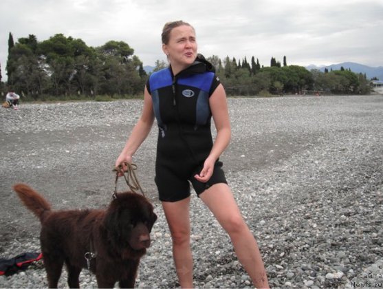 Фото: Диана Ларина, ньюфаундленд Конфуций