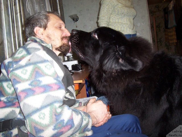 Фотография № 55470