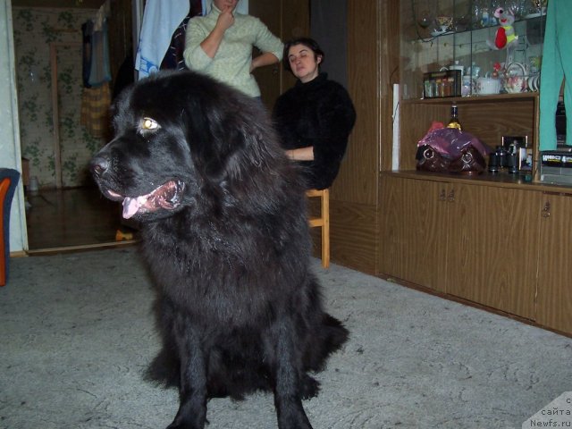 Фотография № 55471