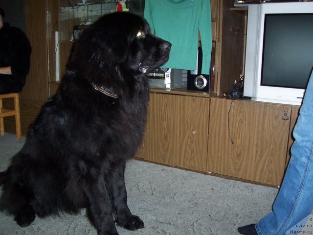 Фотография № 55472