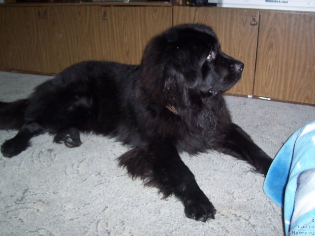 Фотография № 55473