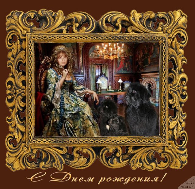 Фотография № 55478