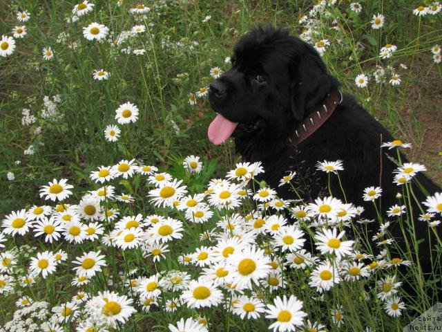 Фотография № 5550