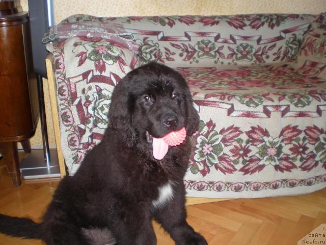 Фото: Дмитрий Фетисов