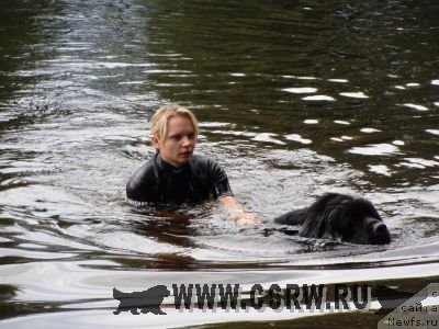 Фото: ньюфаундленд Смигар Пантиак Премиум, Виктория Самонова