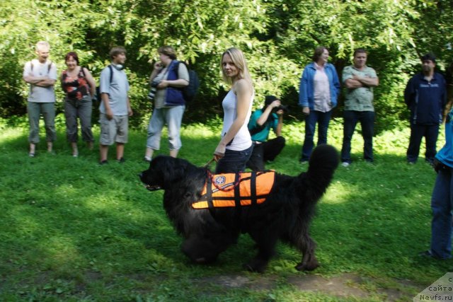 Фотография № 55525