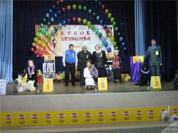 Фотография № 55542